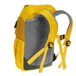 Deuter Forest Fox 10 Geel (kurkuma-corn) -Fietsonderdelen Winkel 5637927091 d waldfuchs 10 deuter 24