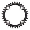 Race Face Smal Breed Kettingblad 34 Tanden, 12 Versnellingen - Zwart