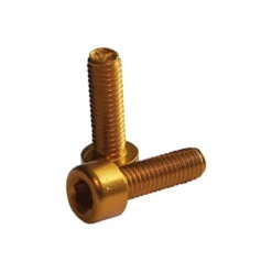 Fleskooischroeven M5 X 15 - Goud